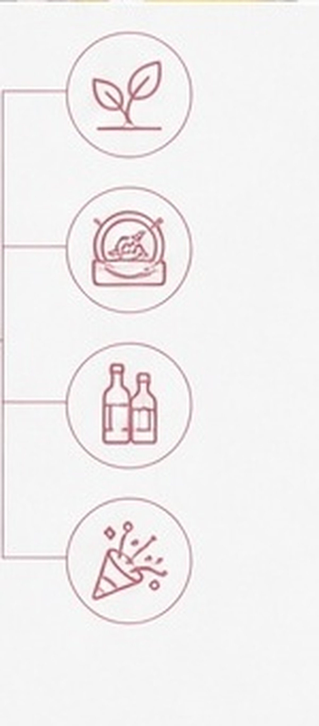 5 sztuk silikonowych korków do – Wine Beer Hat recenzja i cena